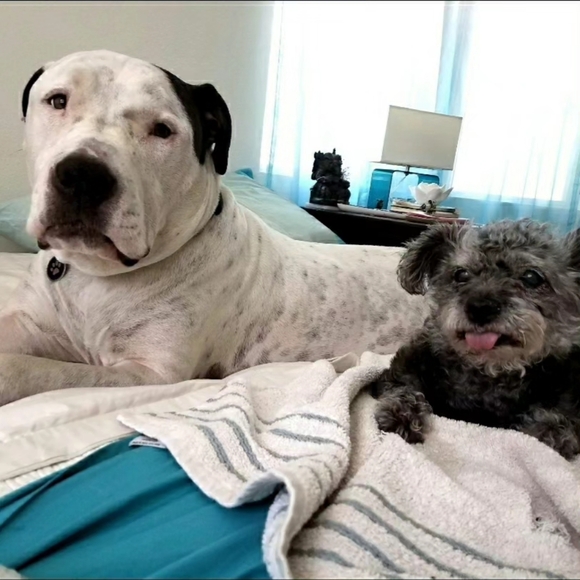 Meet your Posher, Love - Picture 5 of 8